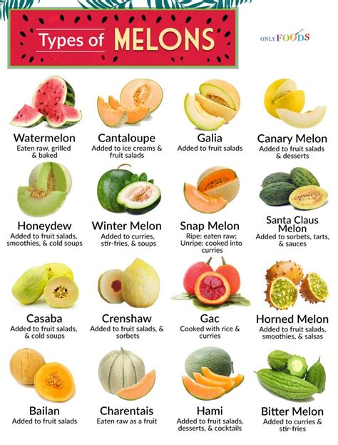 melons tibe|36 Types of Melons with Pictures